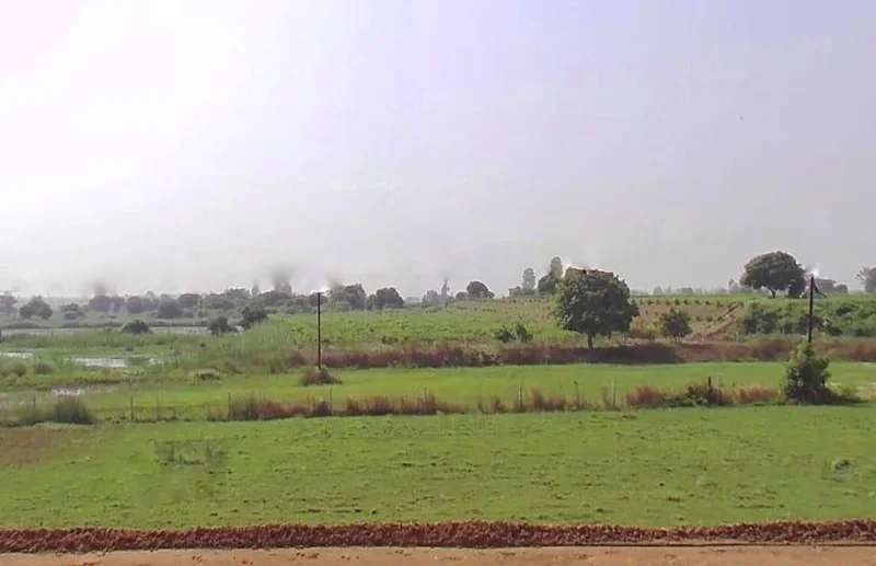 Lakhimpur, Uttar Pradesh 262701, India preview 3