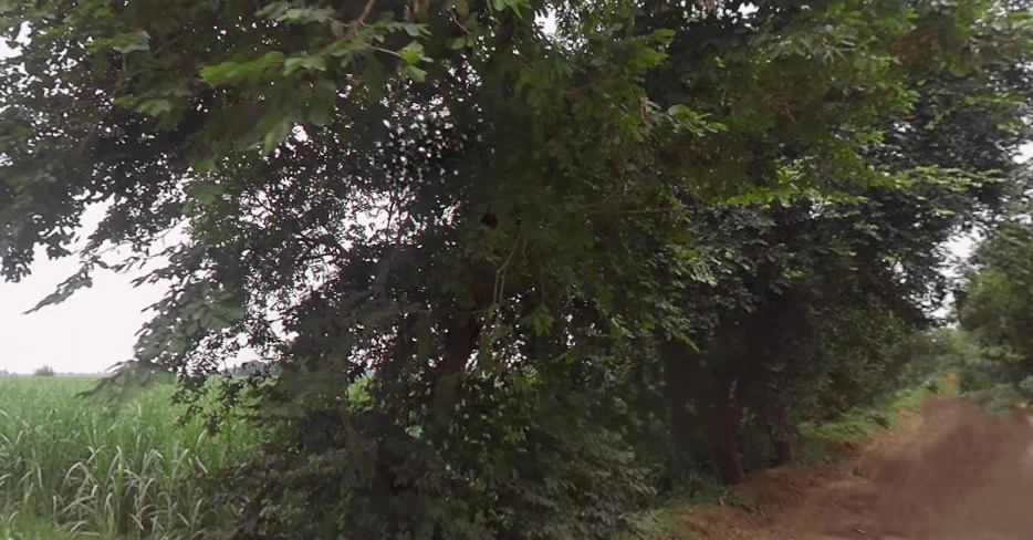 Dataganj, Uttar Pradesh 243635, India