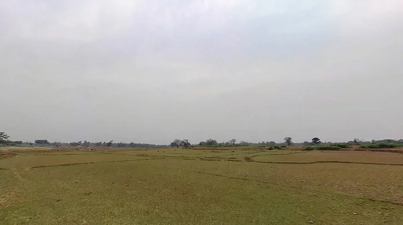 Agricultural Land in Gumla, Gumla