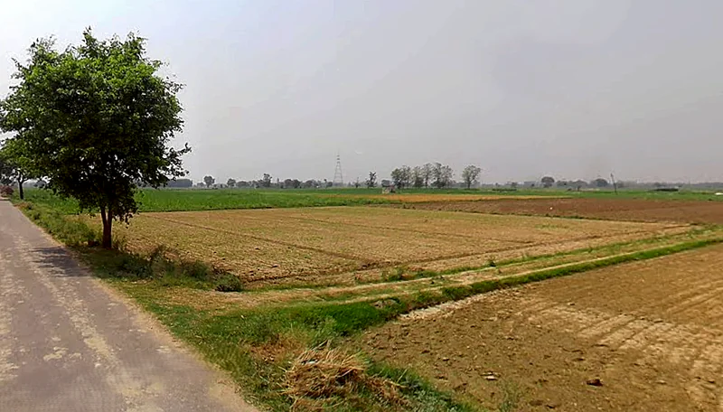 Bijauli, Uttar Pradesh 245206, India