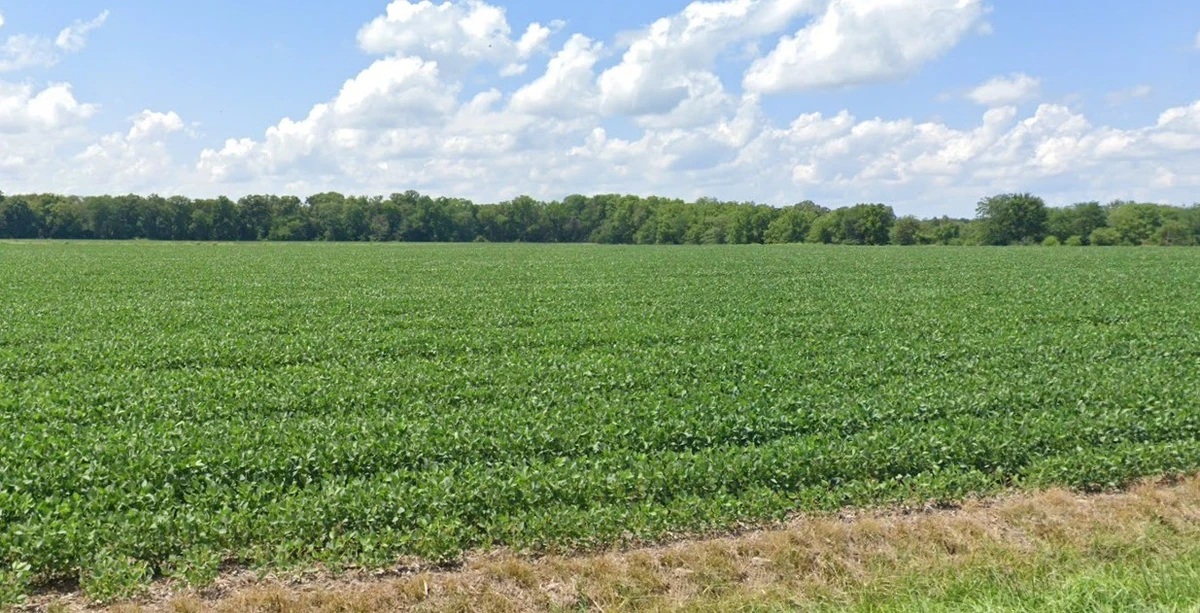 Agricultural Land in Salokh, Raigad