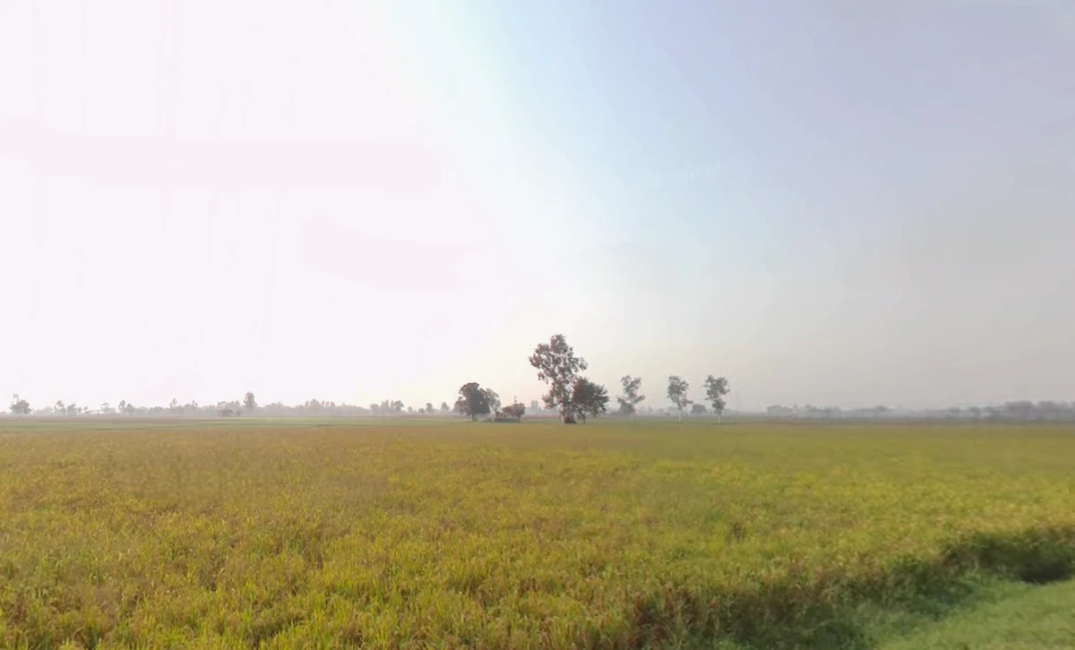 Patran, Punjab 140307, India