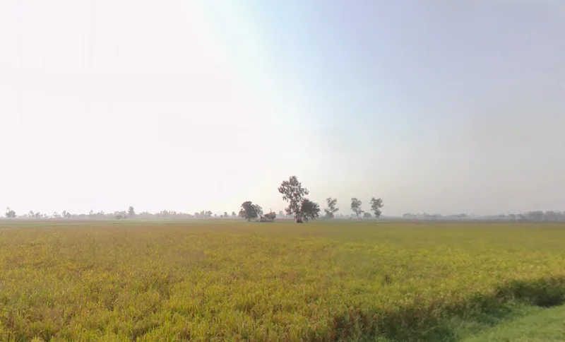 Patran, Punjab 140307, India preview 2