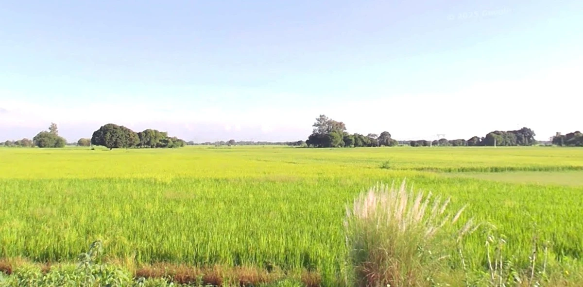 Jaora, Madhya Pradesh 457226, India