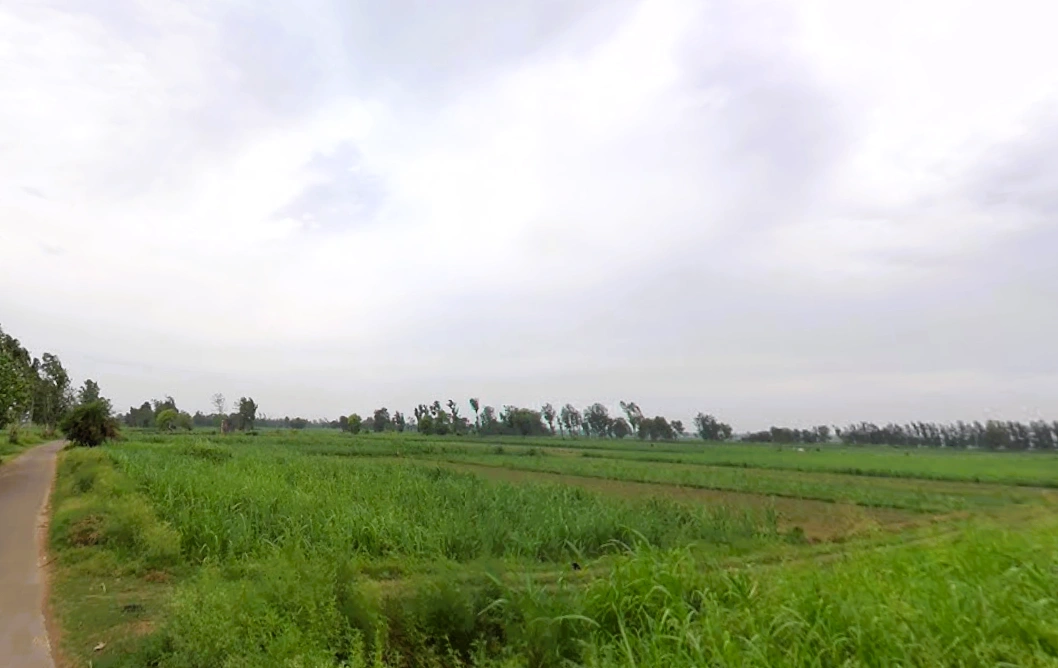 Shahpur Dhameri, Uttar Pradesh, India