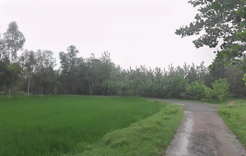 Fatehganj Pashchimi, Uttar Pradesh 243501, India