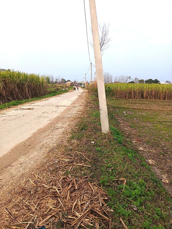 Raisi, Uttarakhand 247671, India