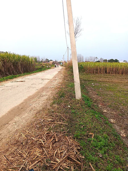 Raisi, Uttarakhand 247671, India preview 3