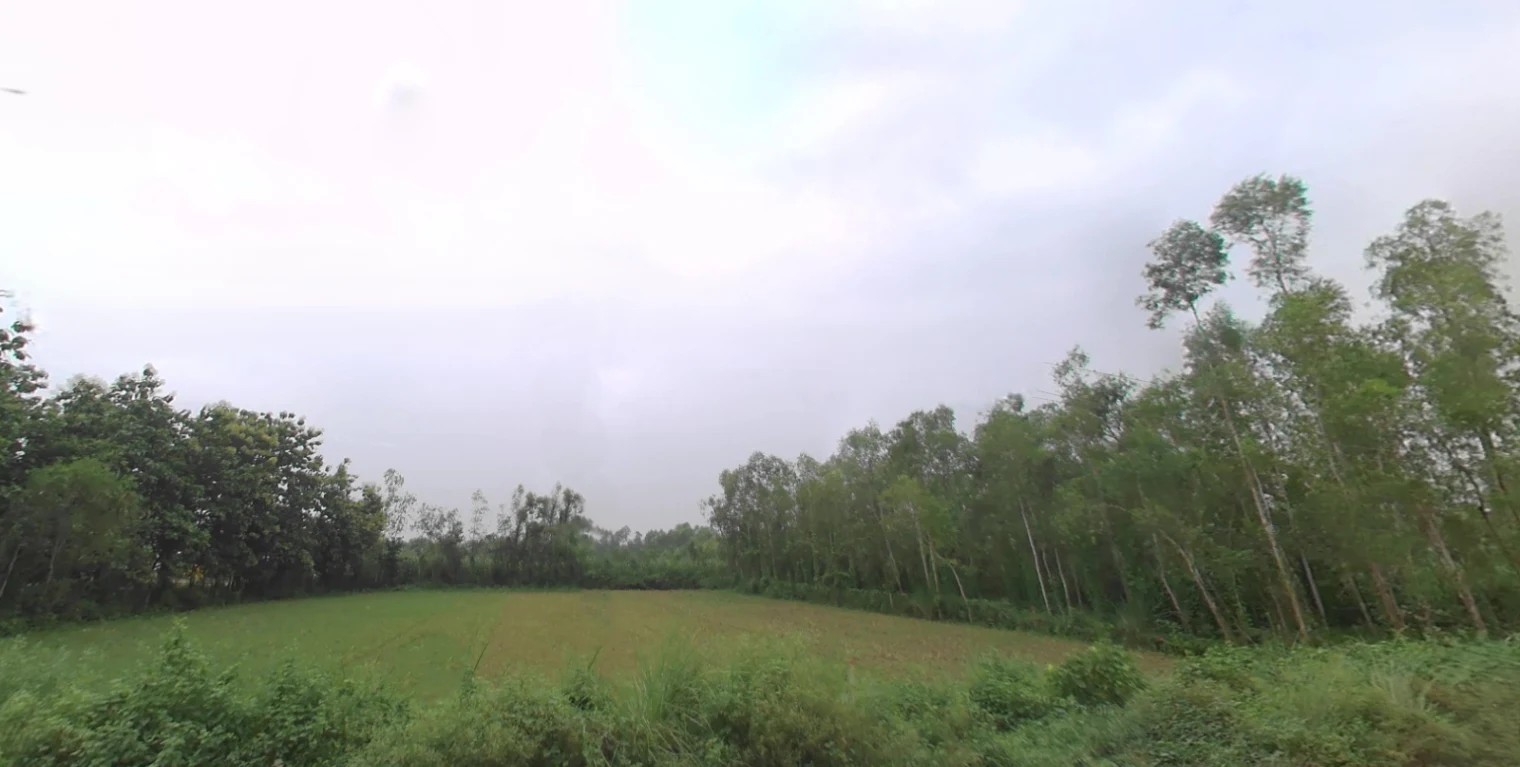 Biharigarh, Uttar Pradesh 247662, India