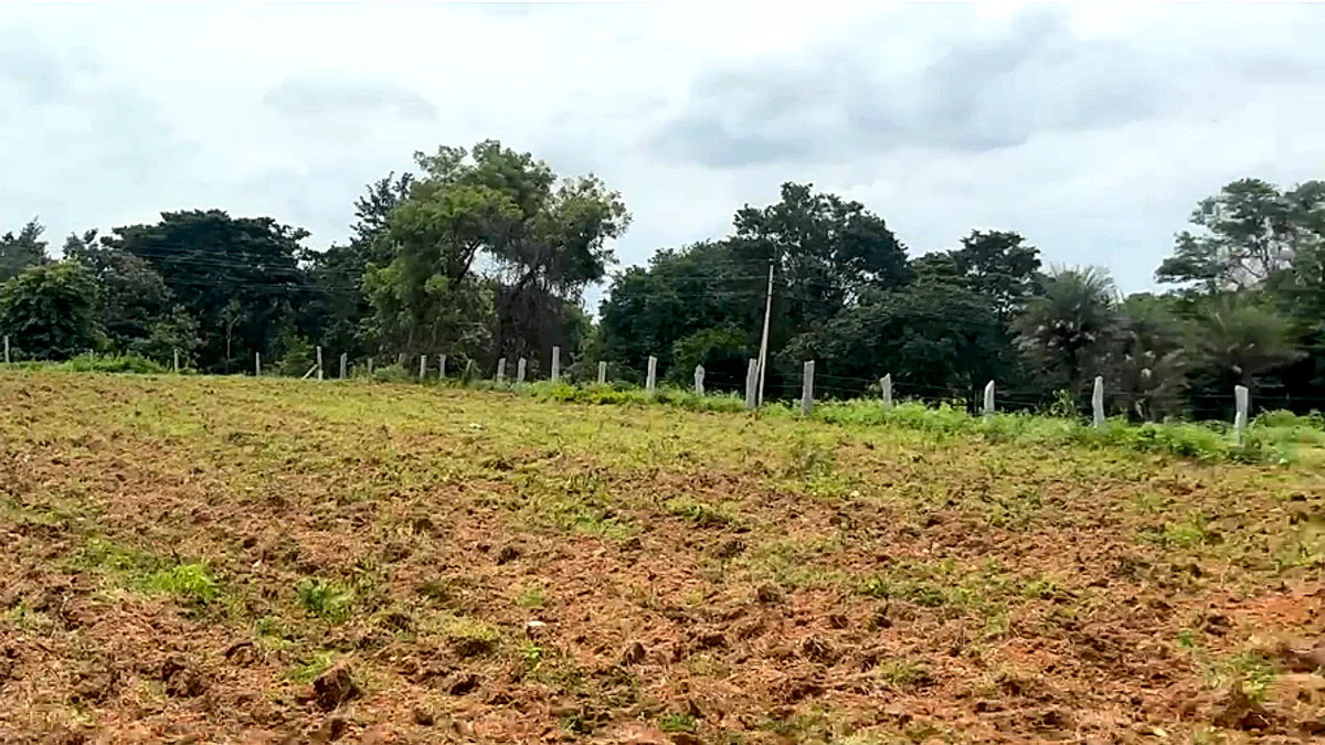 F929+M9 Kamakshihalli, Karnataka, India