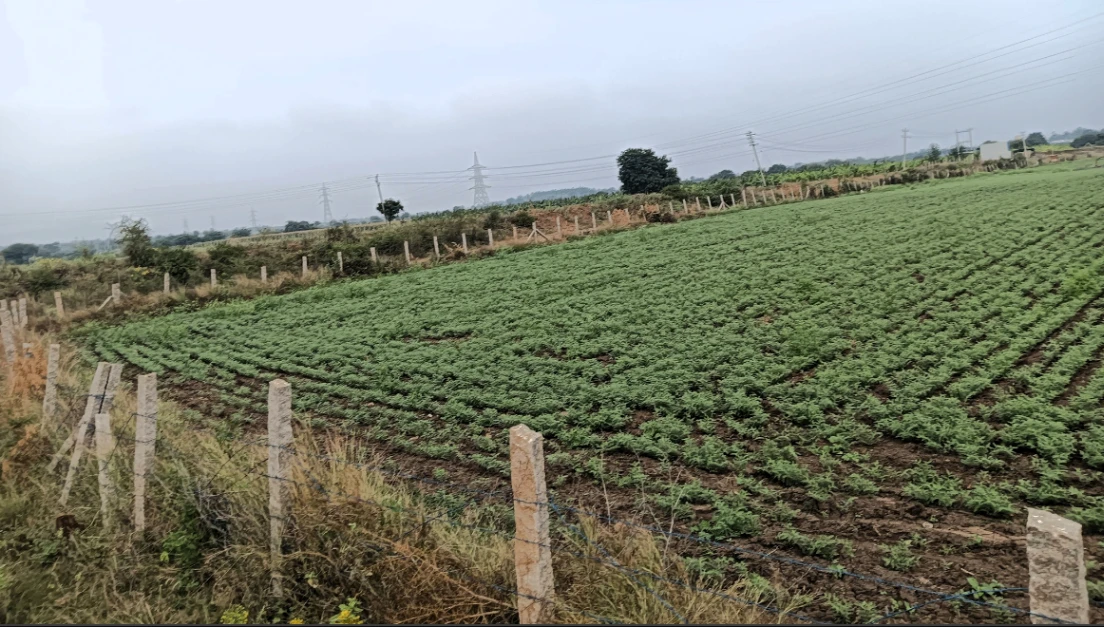 Hiriyur, Karnataka, India