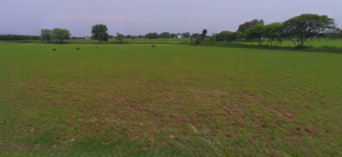 Prayagraj, Uttar Pradesh, India