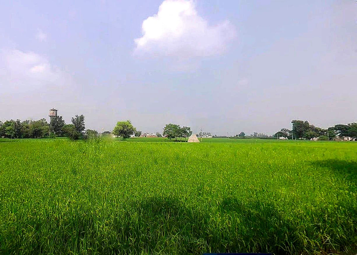 Agricultural Land in Puri,near puri sea beach, Puri