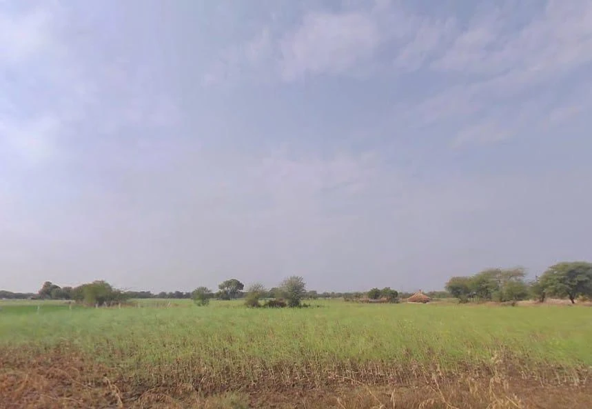 AGRICULTURAL in Phagi, jaipur