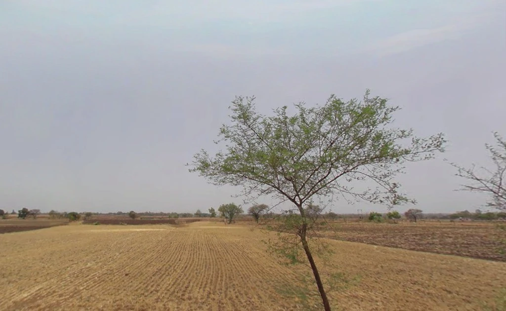 High School, Matla, Chhattisgarh 494665, India