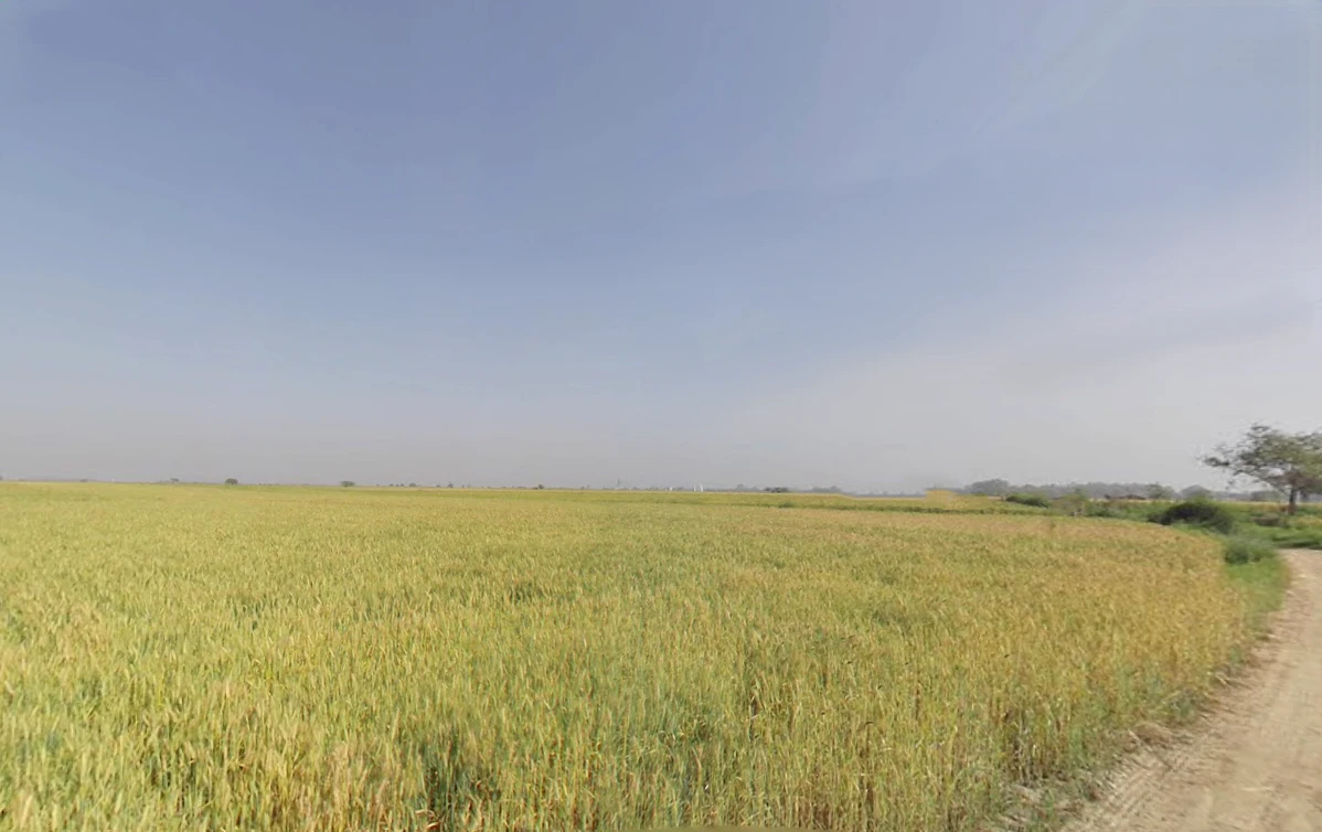 Wazirabad, Delhi, India