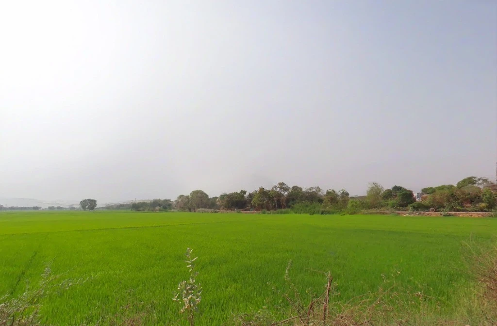 Tipani, Chhattisgarh 493770, India