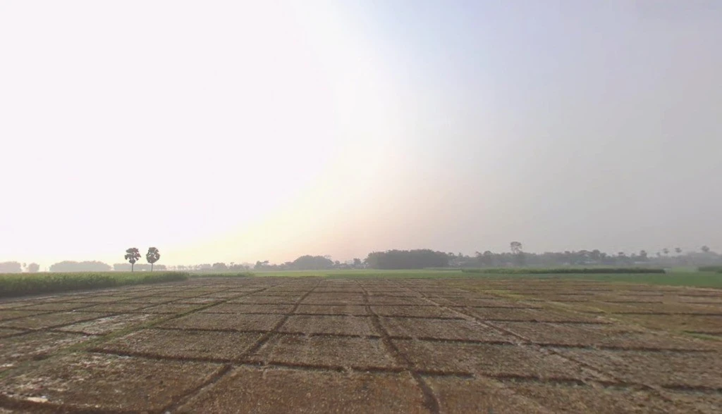 VF5F+HGP, Road, Kasba, Betauna, Bihar 854304, India