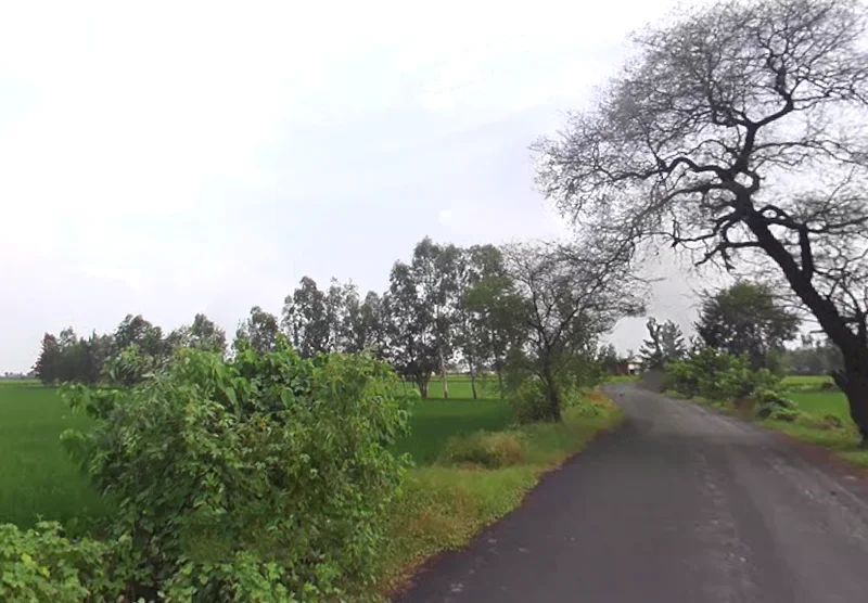 Bilaspur, Uttar Pradesh 244921, India preview 3