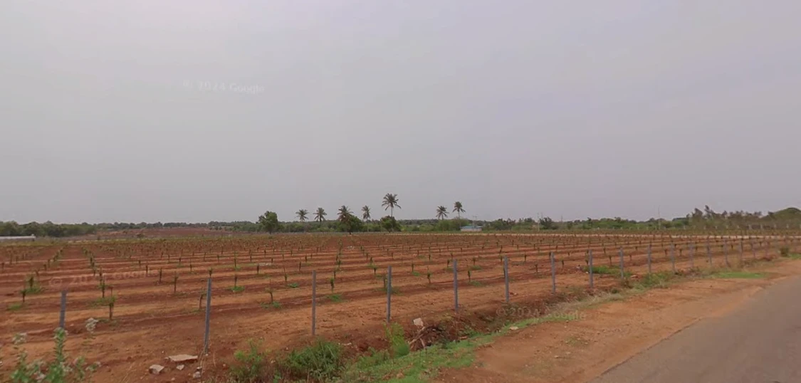 Agricultural Land in Madhugiri taluk, palli village, Tumakuru