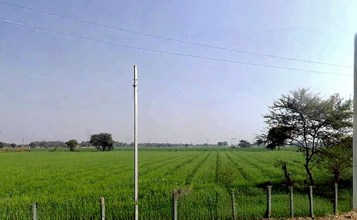 Agricultural Land in Lasurdiya chhatradhar, Dewas