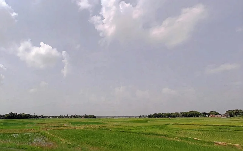 Agricultural Land in Naurangi/ranishwar, Dumka
