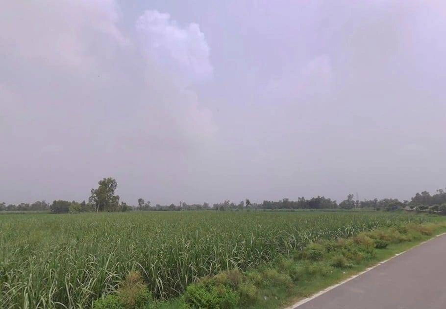 FWX8+PP Suhas, Uttar Pradesh, India