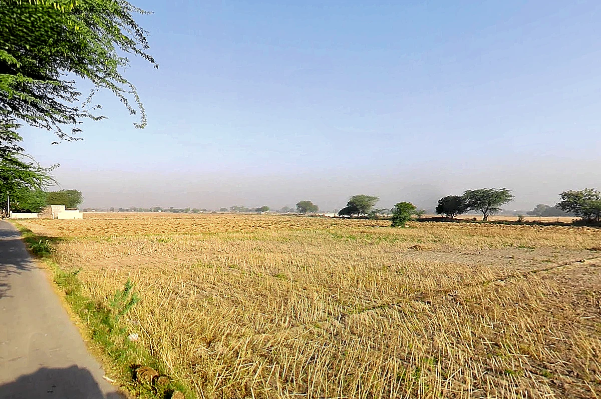 Daryapur Khurd Village, Delhi, 110073, India