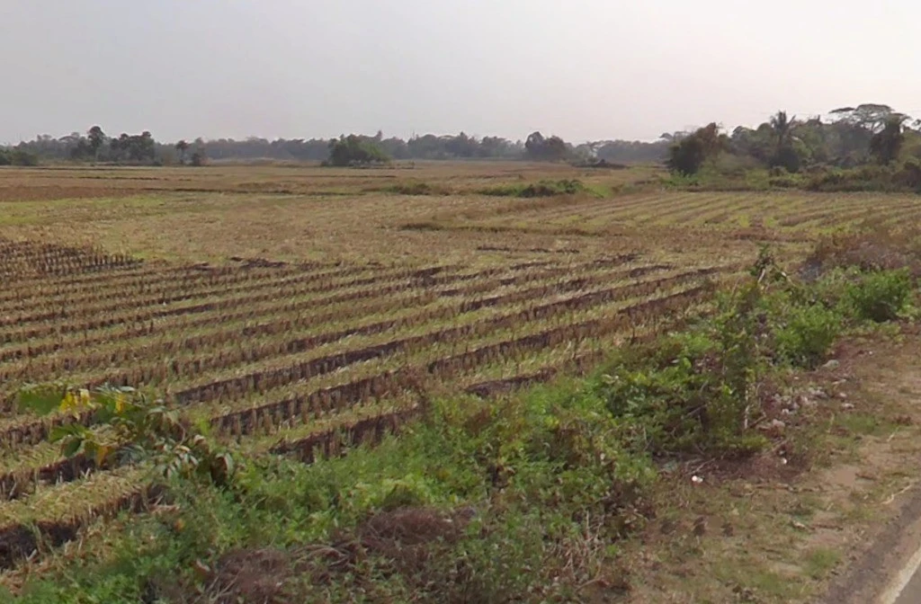 Jhalap, Chhattisgarh 493551, India