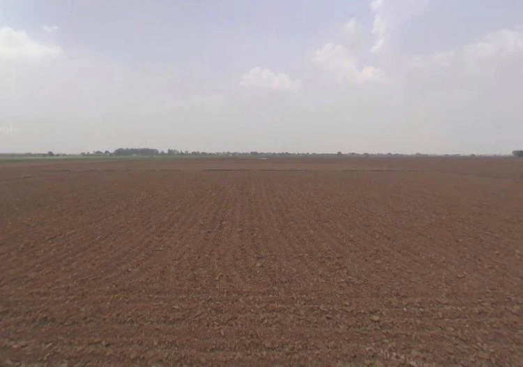 AGRICULTURAL in Mohra , ambala