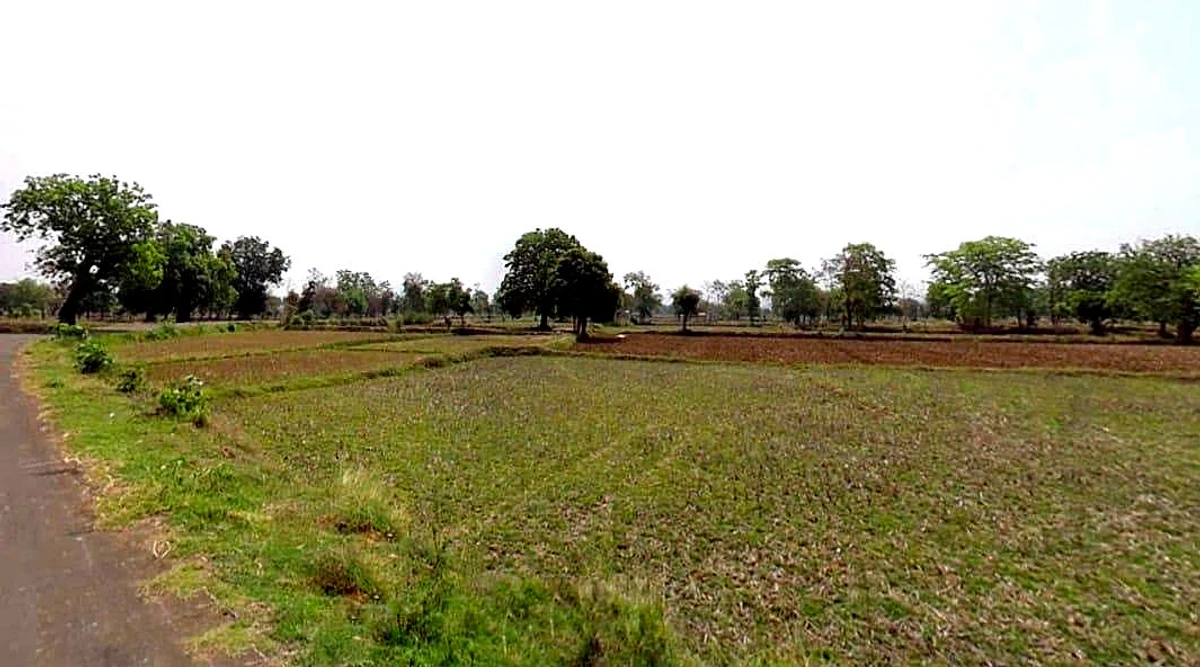 Agricultural Land in Lanji, tekri, Balaghat