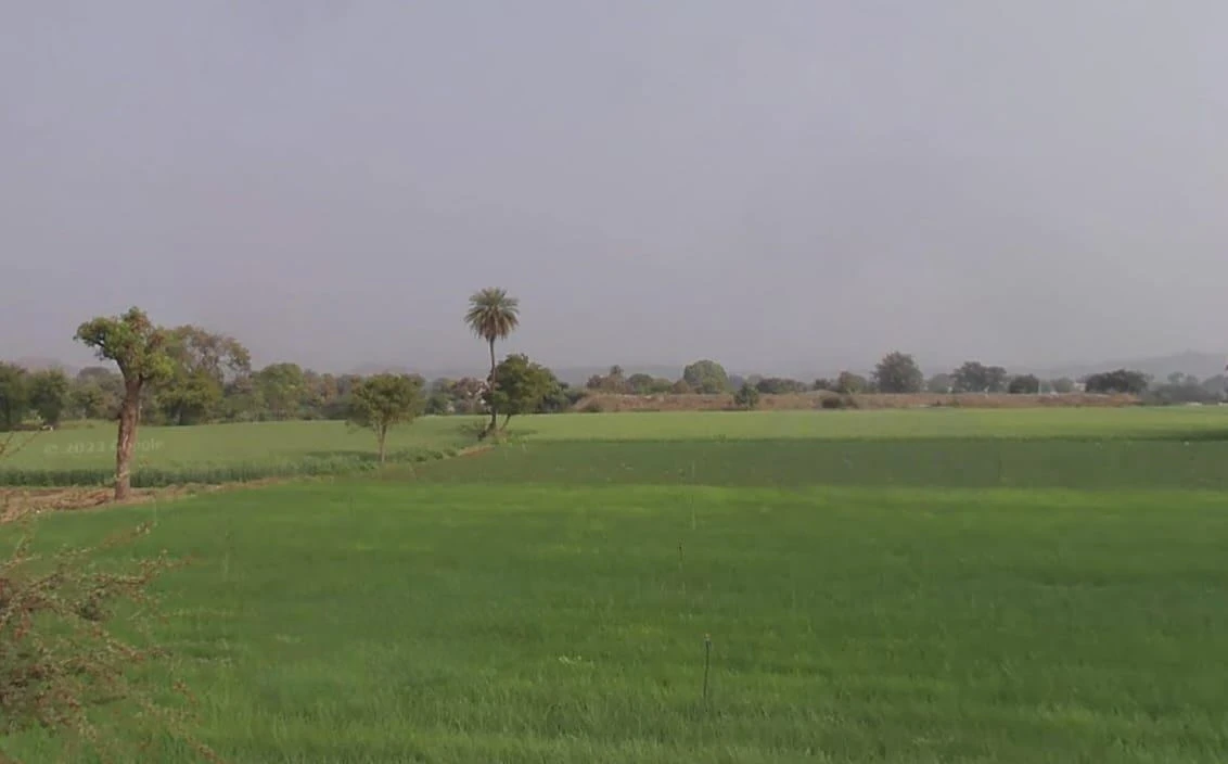 Ronsara, Madhya Pradesh 487330, India