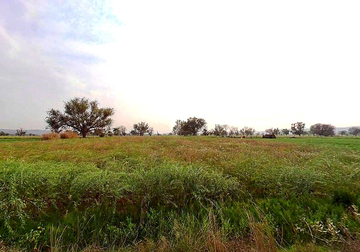 Pachar, Rajasthan, India