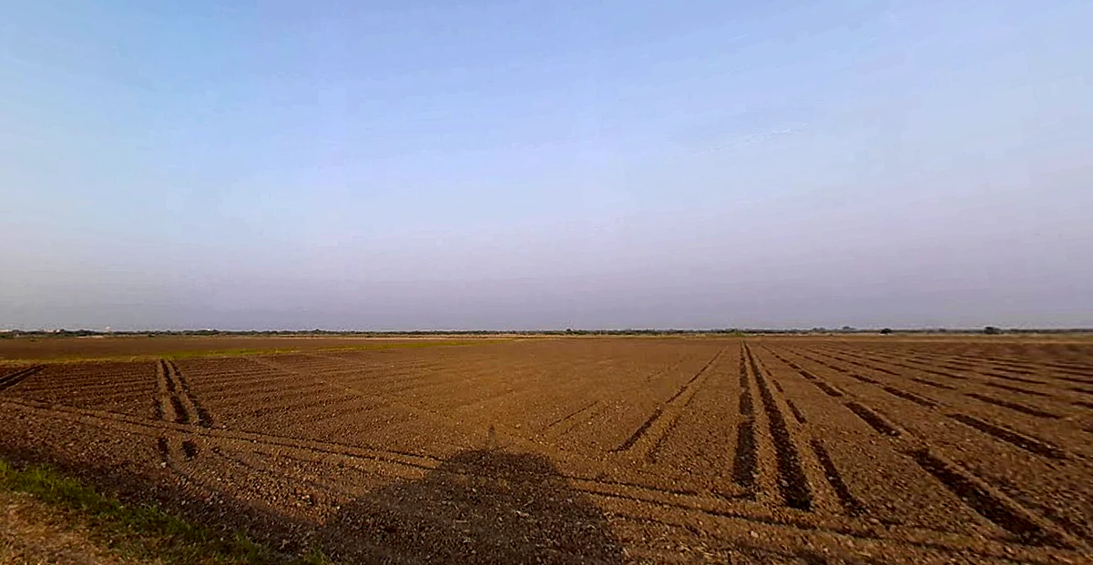 Virpur, Gujarat 360380, India