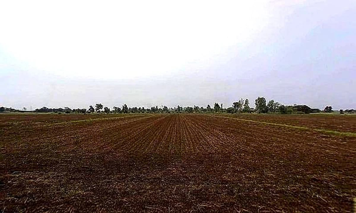 Gora Khedi, Madhya Pradesh 466115, India