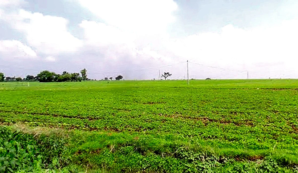 Khamkheda, Madhya Pradesh, India