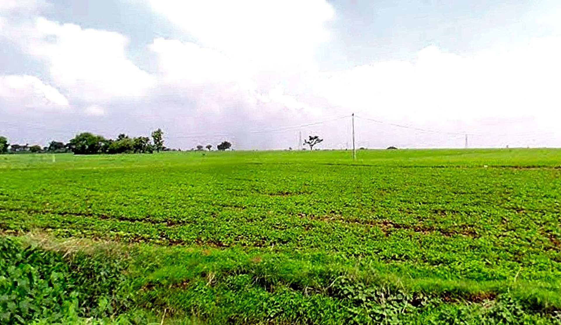 Khamkheda, Madhya Pradesh, India