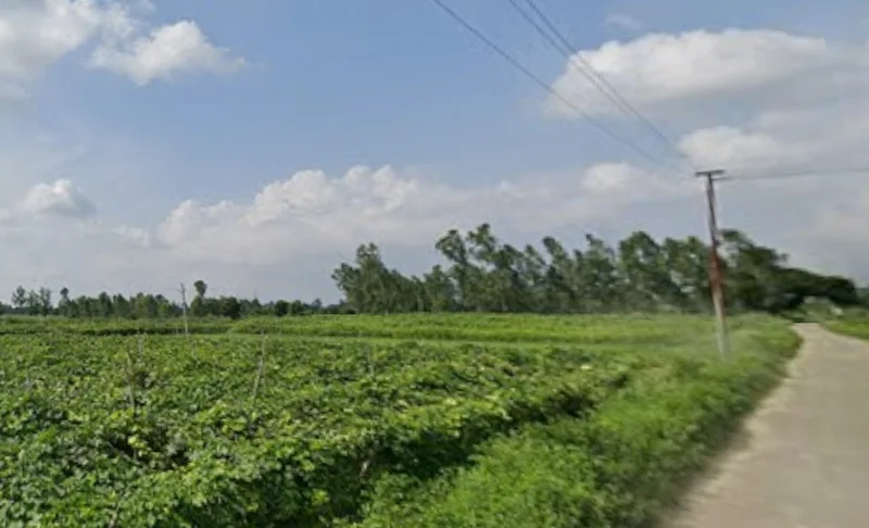 Faridpur, Uttar Pradesh 243503, India preview 3