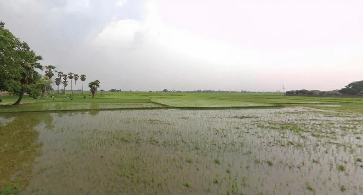 Sarmera, Bihar 811104, India