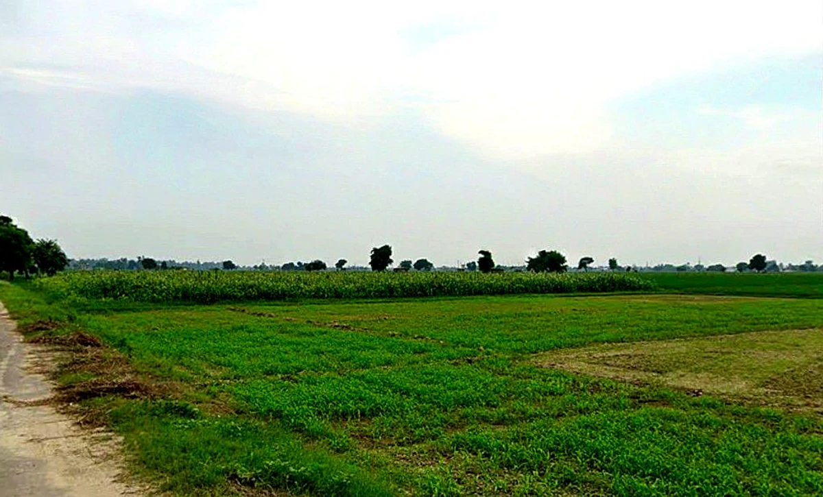 Devkar, Chhattisgarh, India