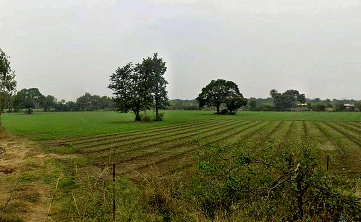 Ghasipura, Madhya Pradesh 462038, India