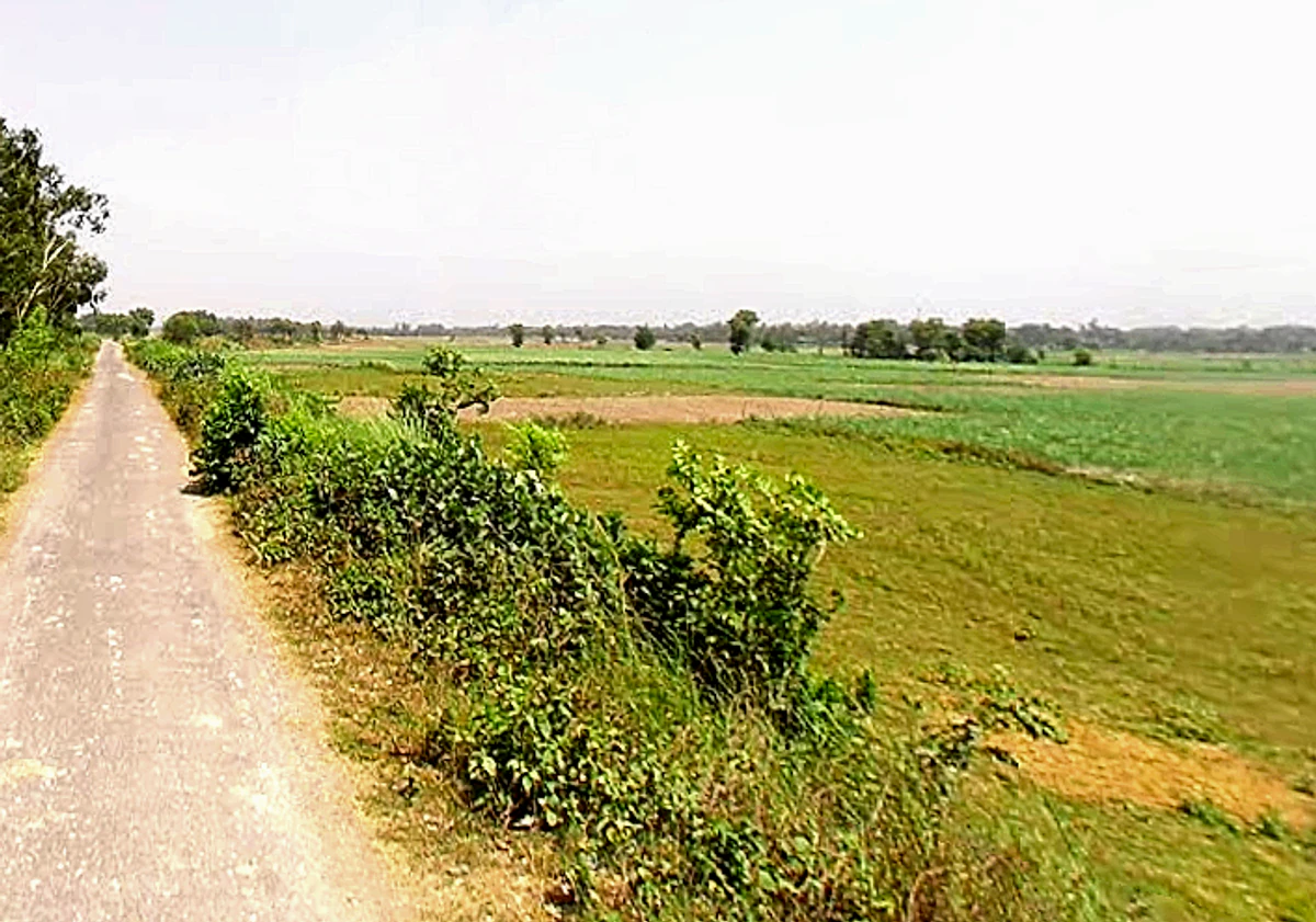 RQMQ+X8J, Pastamaphi, Meenapur Phagauli, Uttar Pradesh 224116, India