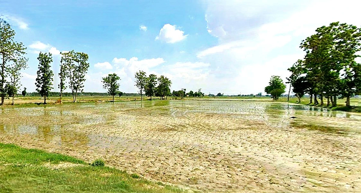 Narayanpur, Uttar Pradesh 210502, India