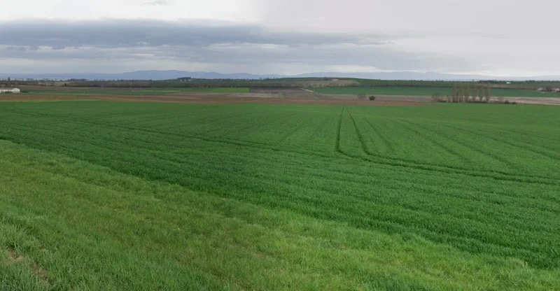 Rania, Uttar Pradesh, India preview 3