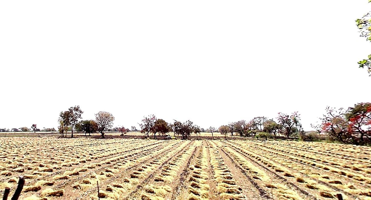 97C6+QXM, Chhindwada, Madhya Pradesh 462036, India