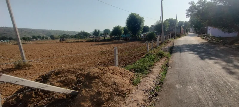 Kerwawal, Rajasthan, India