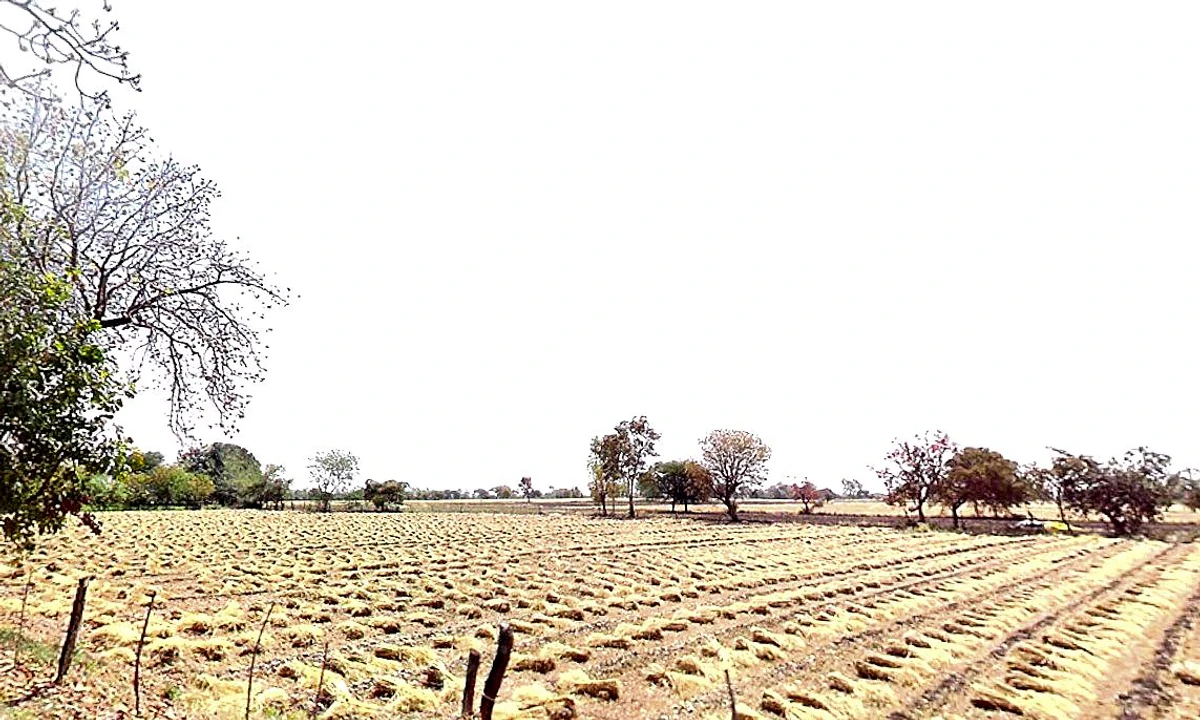 97C6+QXM, Chhindwada, Madhya Pradesh 462036, India