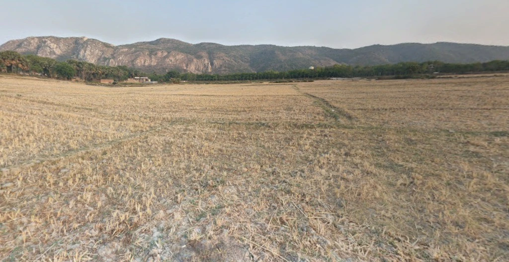 Agricultural Land in Pawadih,lakshmipur,rajgir, Nalanda