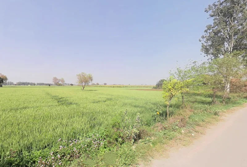 Agricultural Land in Murthal, Sonipat