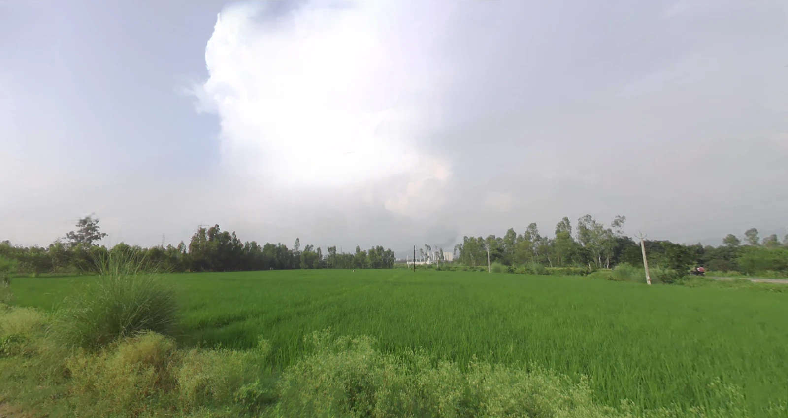 Mirzapur, Uttar Pradesh 247121, India